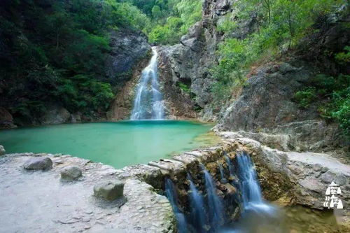 破局出圈，是每個(gè)人都該有的勇氣——九龍?zhí)渡鷳B(tài)園啟示錄