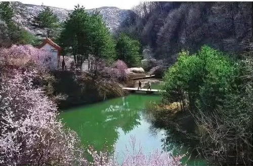 米家溝寫意——平涼全域游散記之六 九龍潭生態園