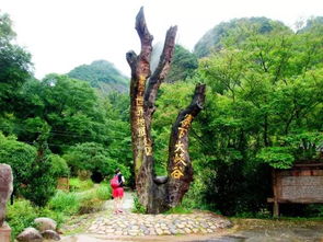 16周歲以下免票游世遺，668元泰寧雙動(dòng)車2日游 大金湖、寨下大峽谷、九龍?zhí)丁⑸袝谌[