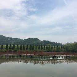 龍荷農(nóng)業(yè)生態(tài)園與九龍?zhí)渡鷳B(tài)園游覽指南 聯(lián)系方式、地址與營(yíng)業(yè)時(shí)間