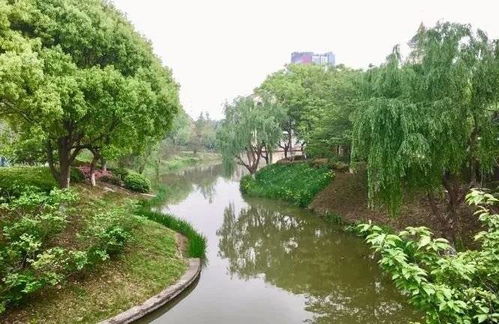 常熟奉賢手牽手，九龍?zhí)渡鷳B(tài)園繪就跨區(qū)域文旅新篇章