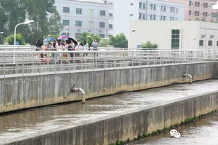 2016市民環(huán)保開放日 走進(jìn)污水處理廠與濕地，共筑綠色東部生態(tài)園——九龍?zhí)渡鷳B(tài)園活動(dòng)回顧
