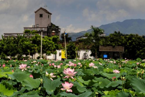 快看！博羅九龍?zhí)渡鷳B(tài)園入選惠州市第二批鄉(xiāng)村旅游精品線路