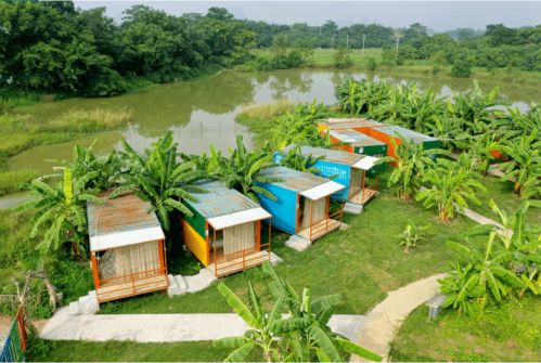 新春采摘，田園趣游 金穗與九龍潭生態園兩日樂活指南