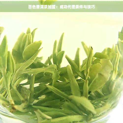 百色普洱茶加盟 成功代理?xiàng)l件與銷售技巧全解析