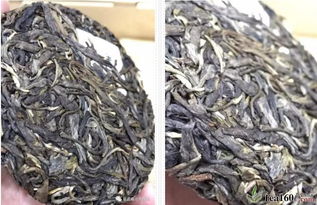 福元號首款生肖紀念茶 全國經銷商品茗珠海站，共啟茶葉代理與銷售新篇章